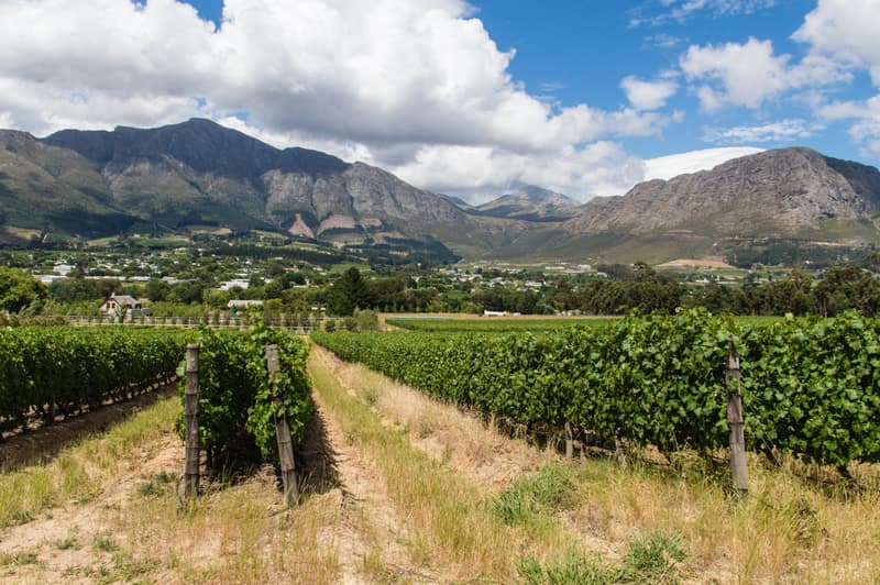 Weingut im Tal von Franschhoek mit Rebzeilen bis an den Hang
