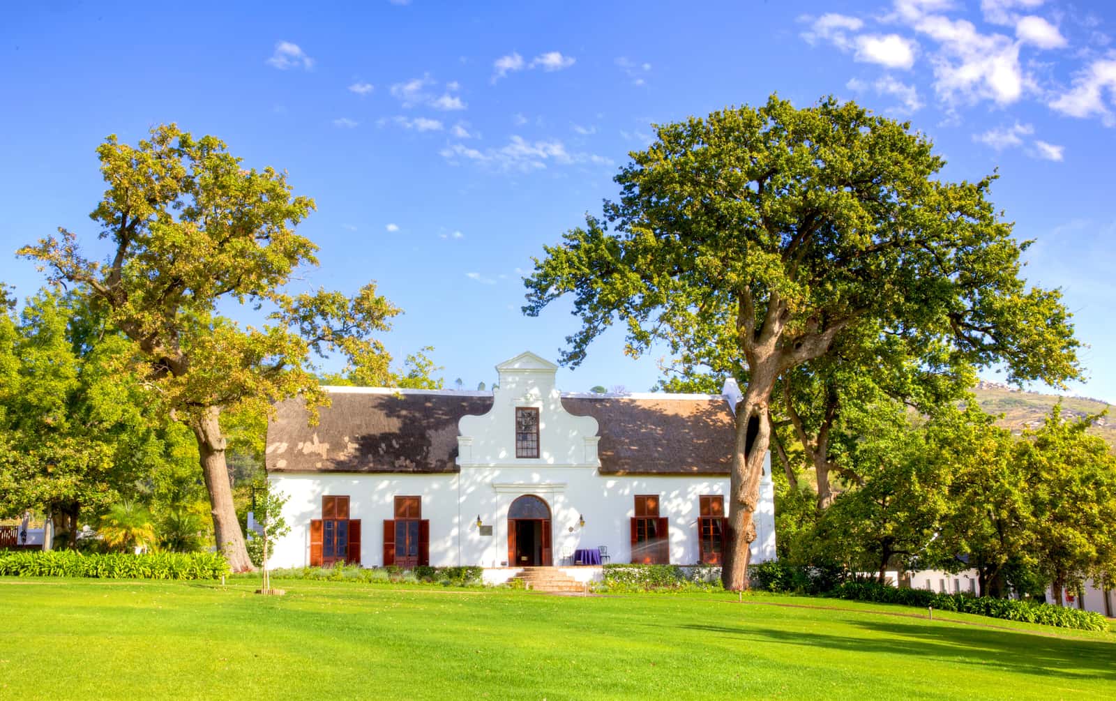 Kapholländisches Weingut von 1750 bei Paarl mit weißem Giebel und Reben davor