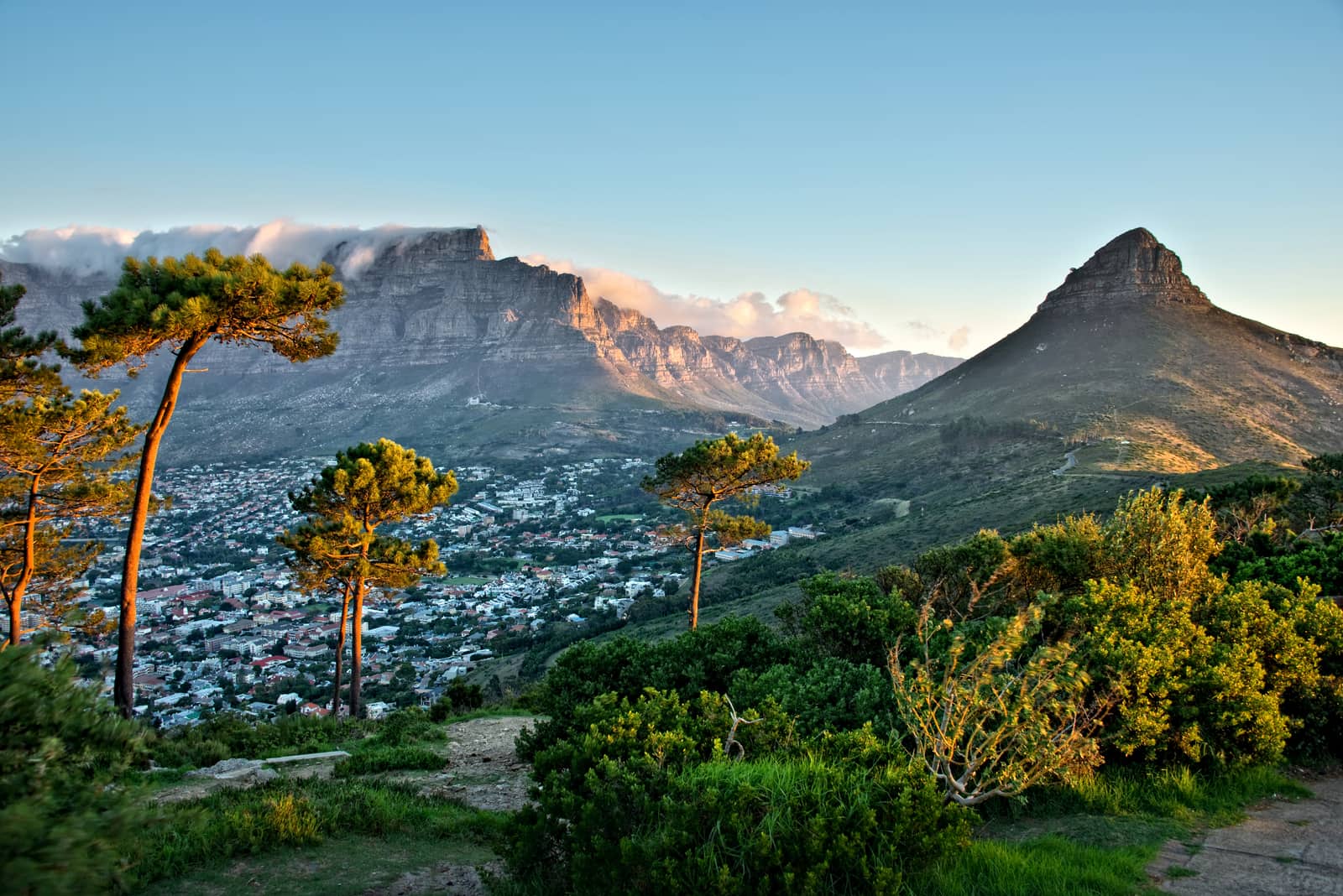 Blick vom Signal Hill über Kapstadt, dahinter der Tafelberg