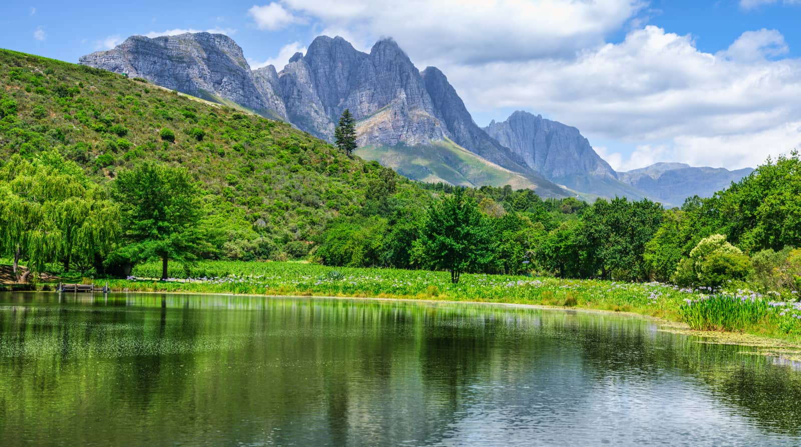 See eines Weinguts vor den Bergen des Jonkershoek-Tals bei Stellenbosch