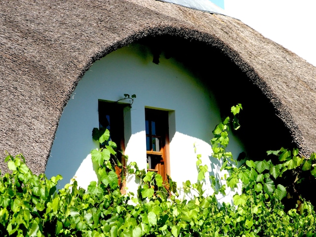 Manley Wine Estate